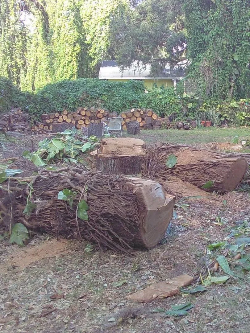 A pile of logs and stump in a yard.