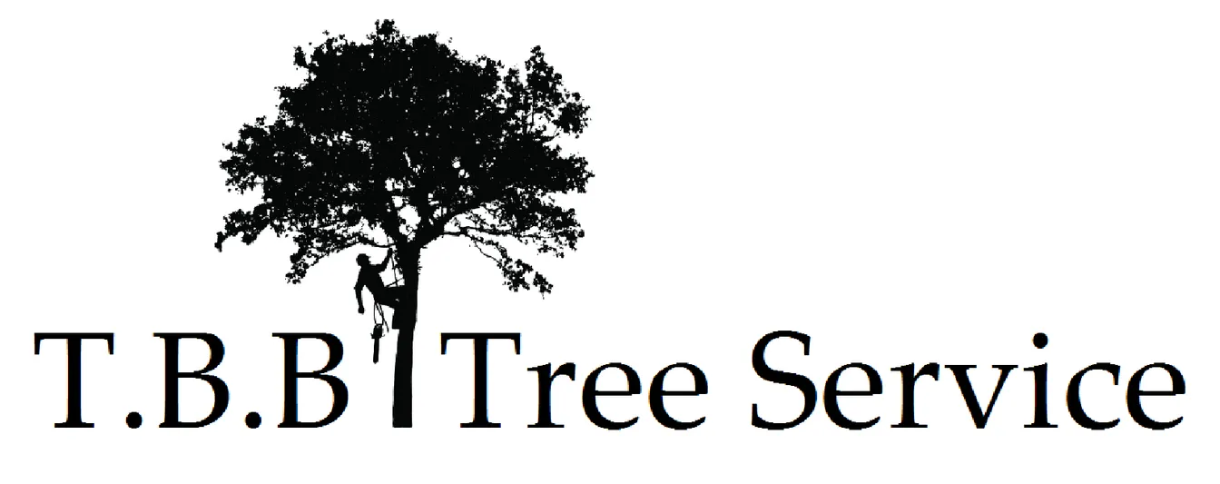 A black and white logo for t.b.b. tree service