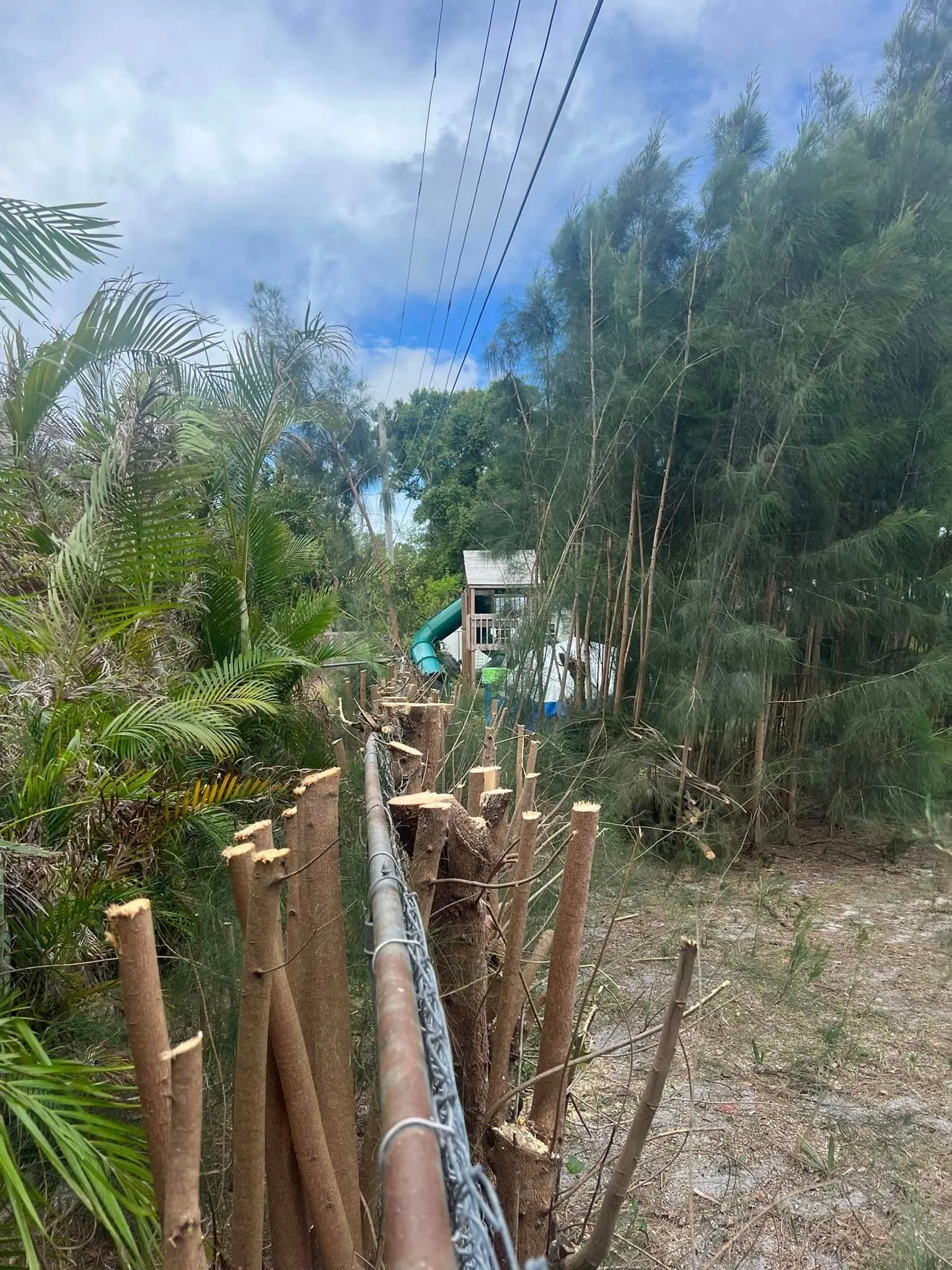 A person is standing next to a wooden fence in the middle of a forest.