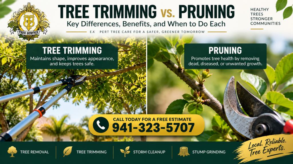 Trimming vs. Pruning: Key Differences in Tree Care